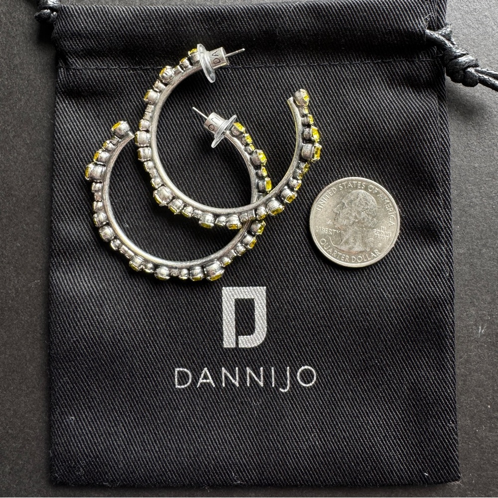 DANNIJO Alicia Swarovski Crystal Hoop Earrings - Picture 8 of 9